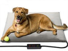 Toozey XL almohadilla de calor con funda lavable para confort de mascotas.