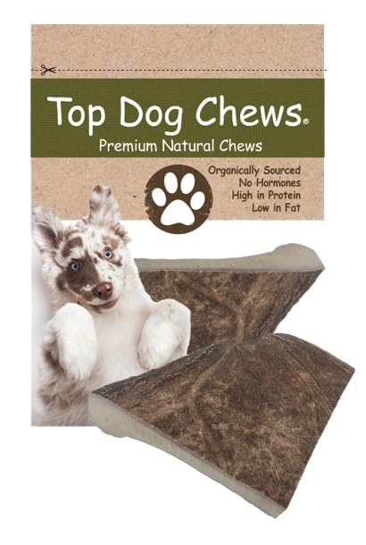 Top Dog Chews cuerno de alce XL, ideal para masticadores grandes y ocupación prolongada