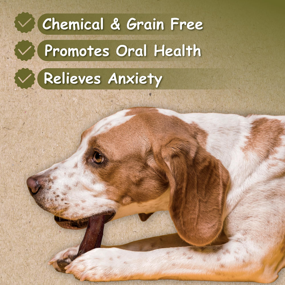 Top Dog Chews: res sin cuero crudo, opción segura para masticar.