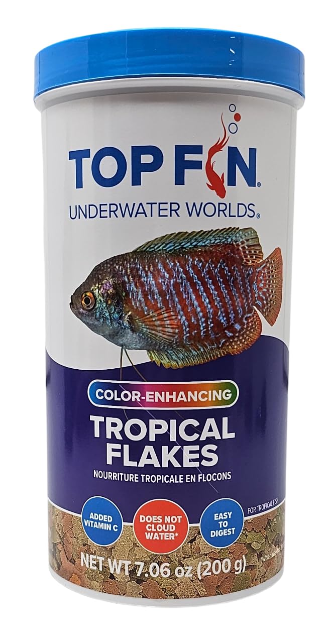 Top Fin acuario con peces iluminados por escamas tropicales de color.