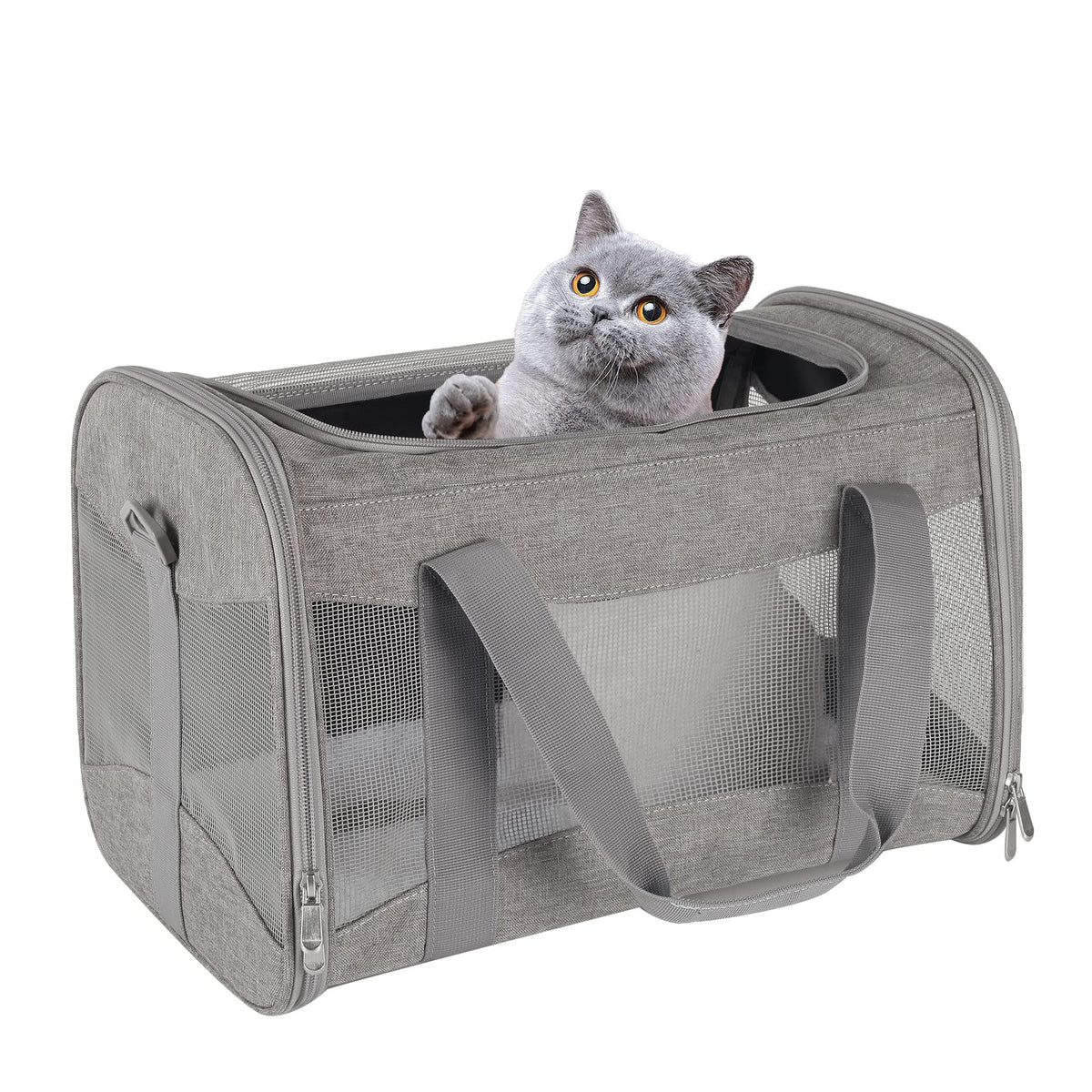 Top Tasta porta-gato-aire, transportín apto para avión para mascotas pequeñas.