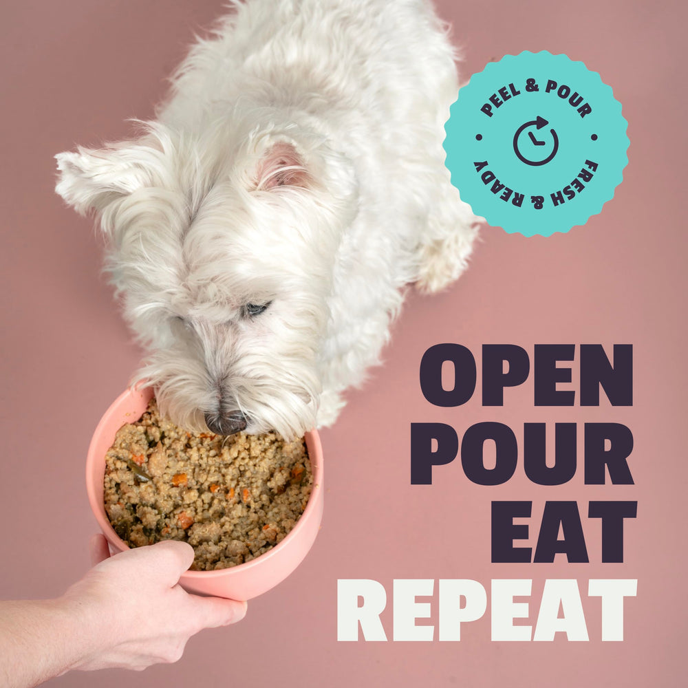 Top Shelf Dog: guía de alimentación en el envase para porciones adecuadas