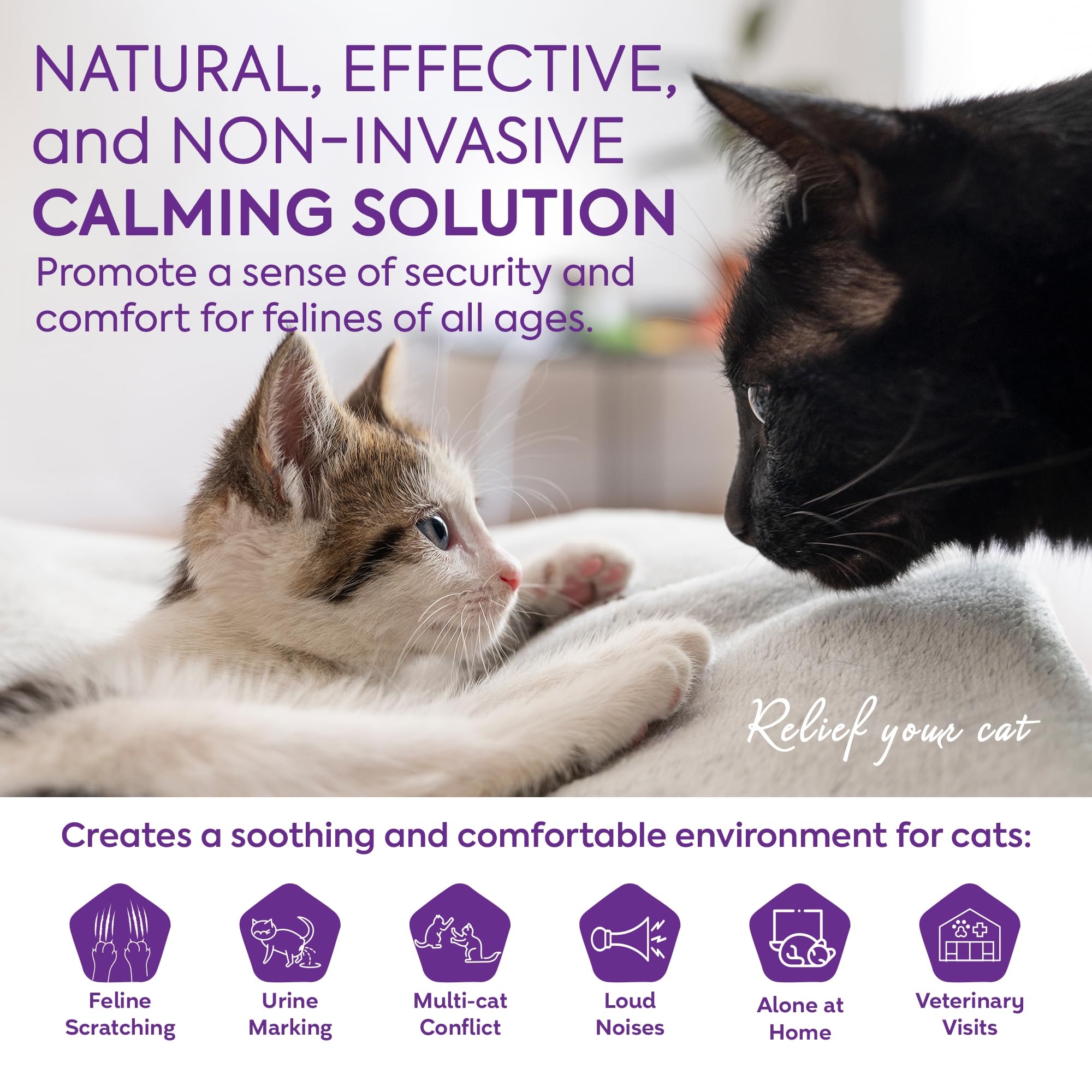 Recambios TopSum para difusor de gatos, uso continuo de hasta 30 días.