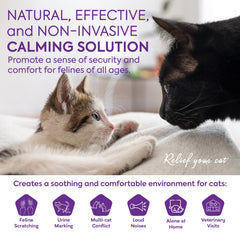 Recambios TopSum para difusor de gatos, uso continuo de hasta 30 días.