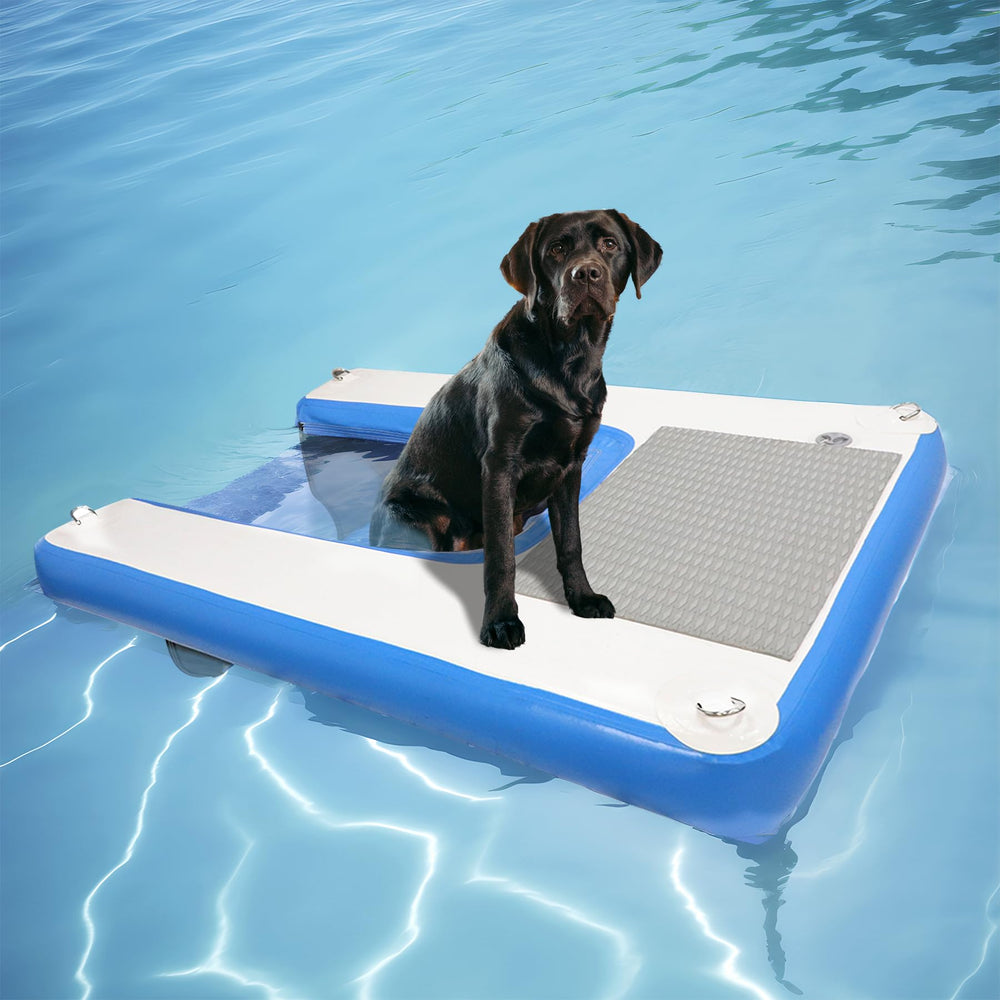 Toriexon rampa de agua para perros 60x40 azul, facilita el acceso seguro al agua.
