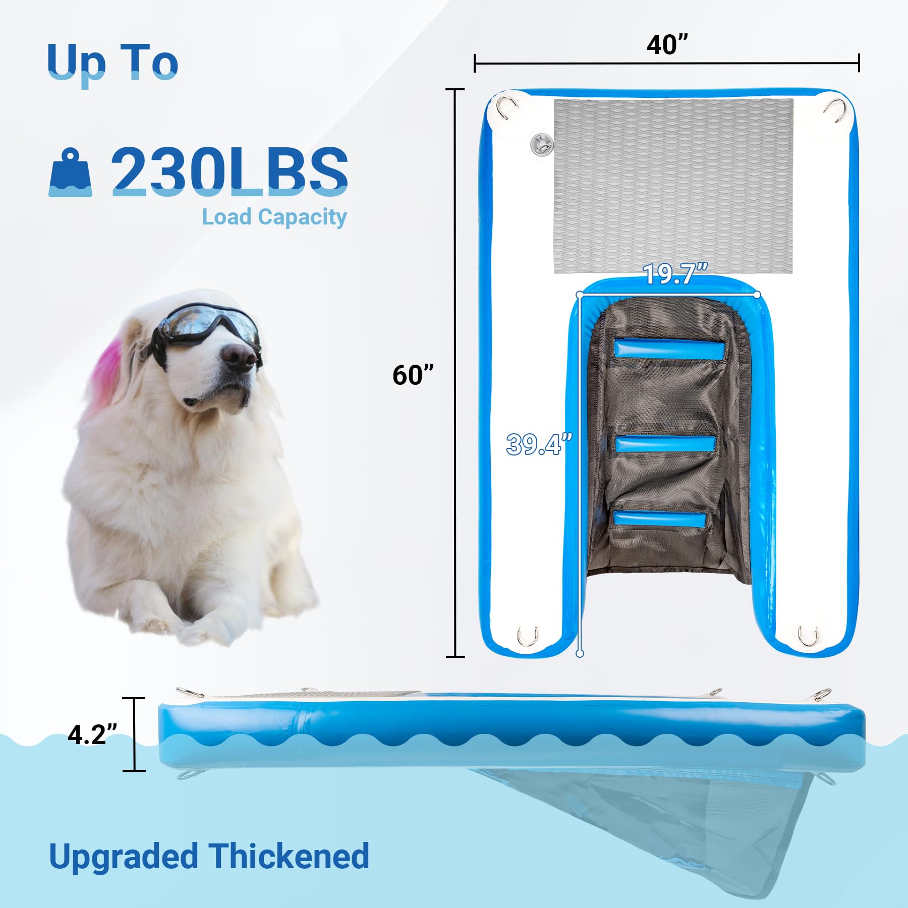 Toriexon rampa para perros, superficie antideslizante para mantener el equilibrio.