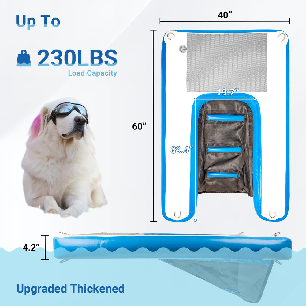Toriexon rampa para perros, superficie antideslizante para mantener el equilibrio.