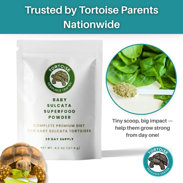 Tortoise Resource Center webinar de cuidado de tortugas para aprender
