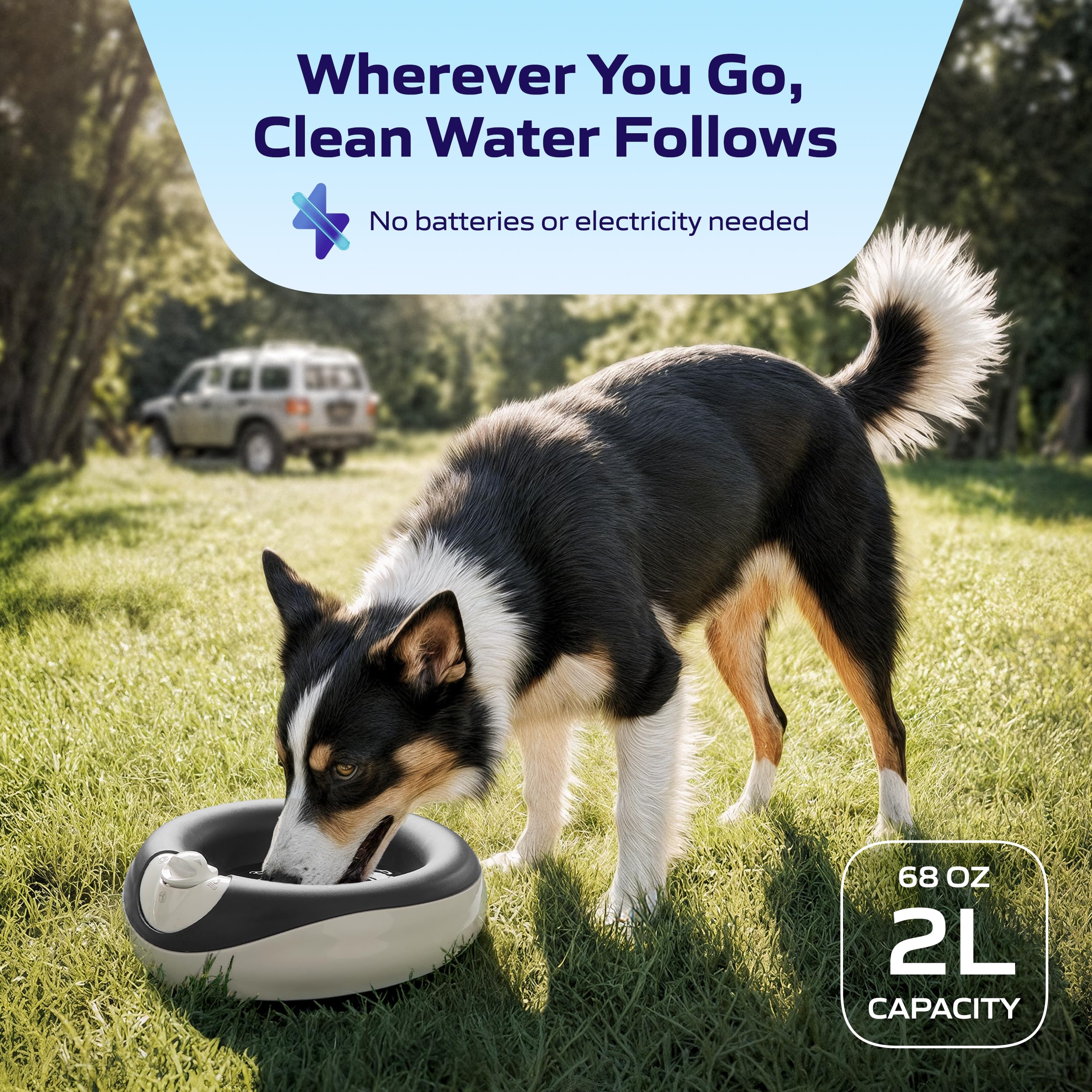 Torus Pet Dispensador sin BPA, materiales seguros para mascotas