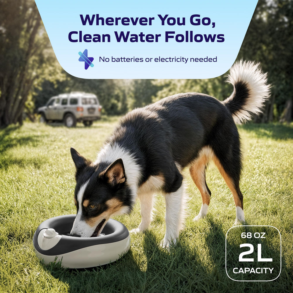 Torus Pet Dispensador sin BPA, materiales seguros para mascotas