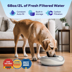 Torus Pet en modo automático sin ruido, ideal para uso diario sin cables.