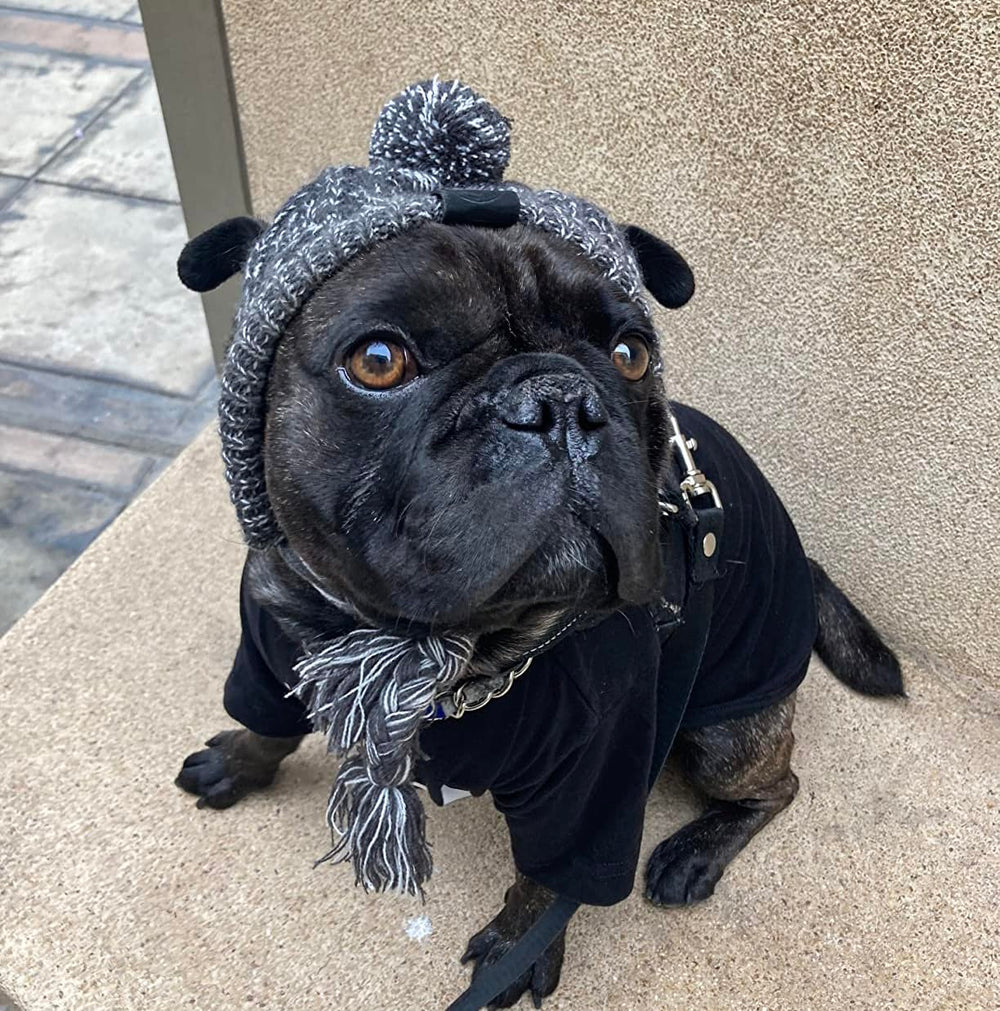 Gorro Tosuua para perros, perfecto para caminatas en nieve.