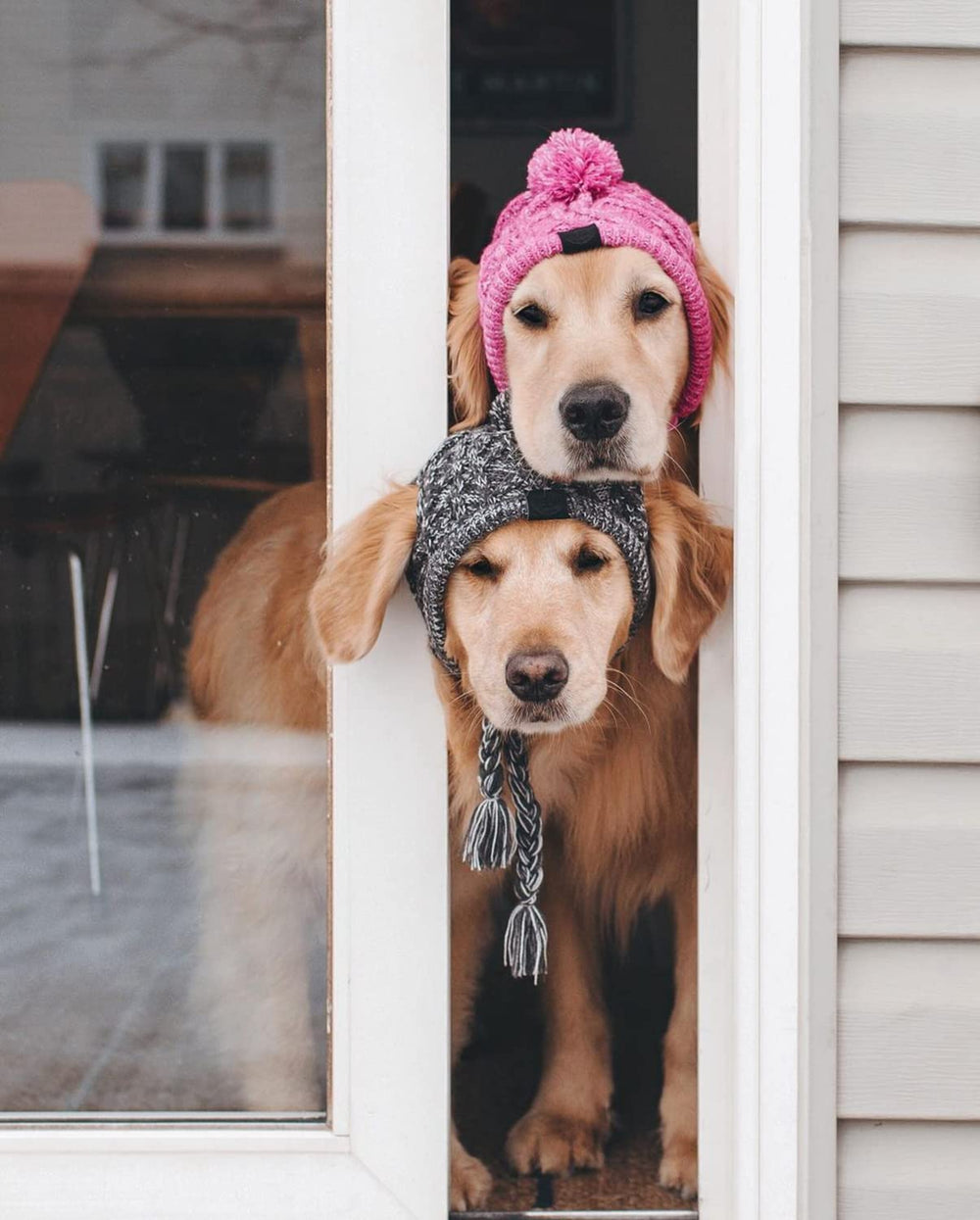 Gorro Tosuua tejido acrílico suave en gris para perros.
