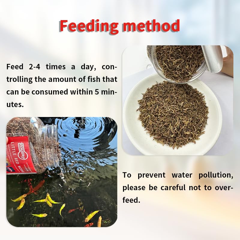 toyuto-alimento-especies-arowana-koi-ciclos-tortugas: apto para arowana, koi, cíclidos tropicales y tortugas
