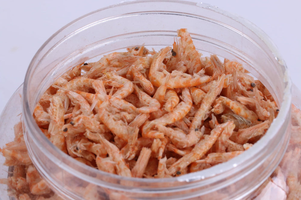 Toyuto alimento flotante para arowana, proteína de alto rendimiento