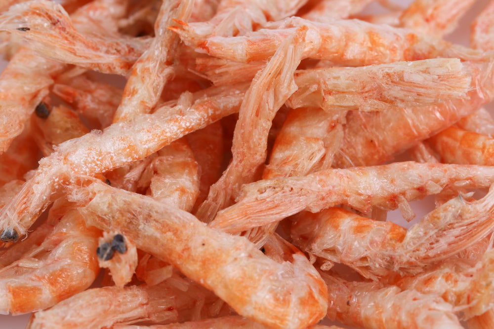 Toyuto alimento flotante para tortugas, opción rica en proteínas