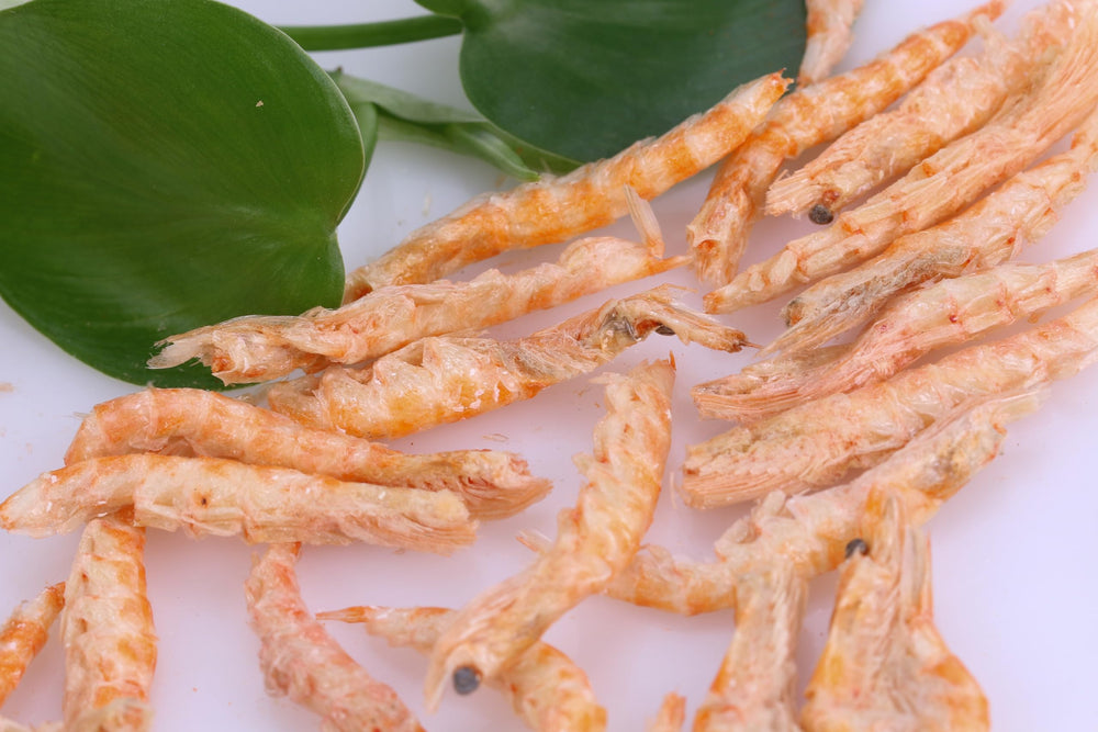 Toyuto envase de gran capacidad facilita alimentaciones constantes