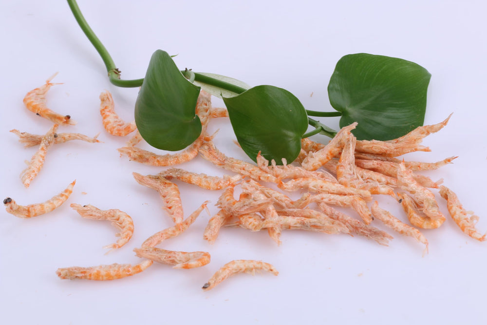 toyuto krill para peces tropicales: ayuda a realzar la coloración de los peces.