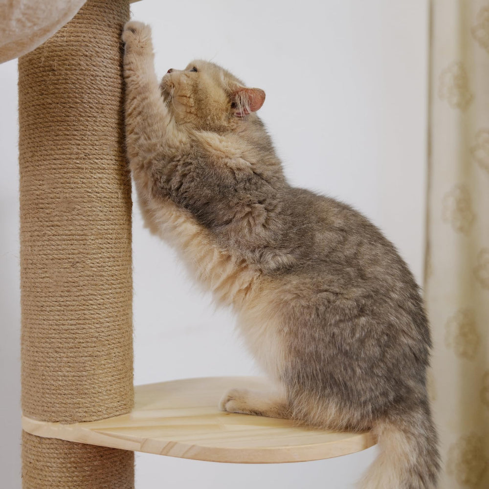 TQEW Arbol Gato: guía de montaje y herramientas incluidas