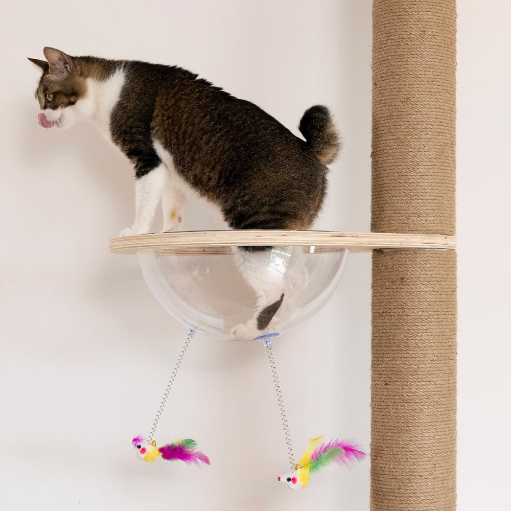 TQEW Arbol Gato: rango de altura ajustable para espacios