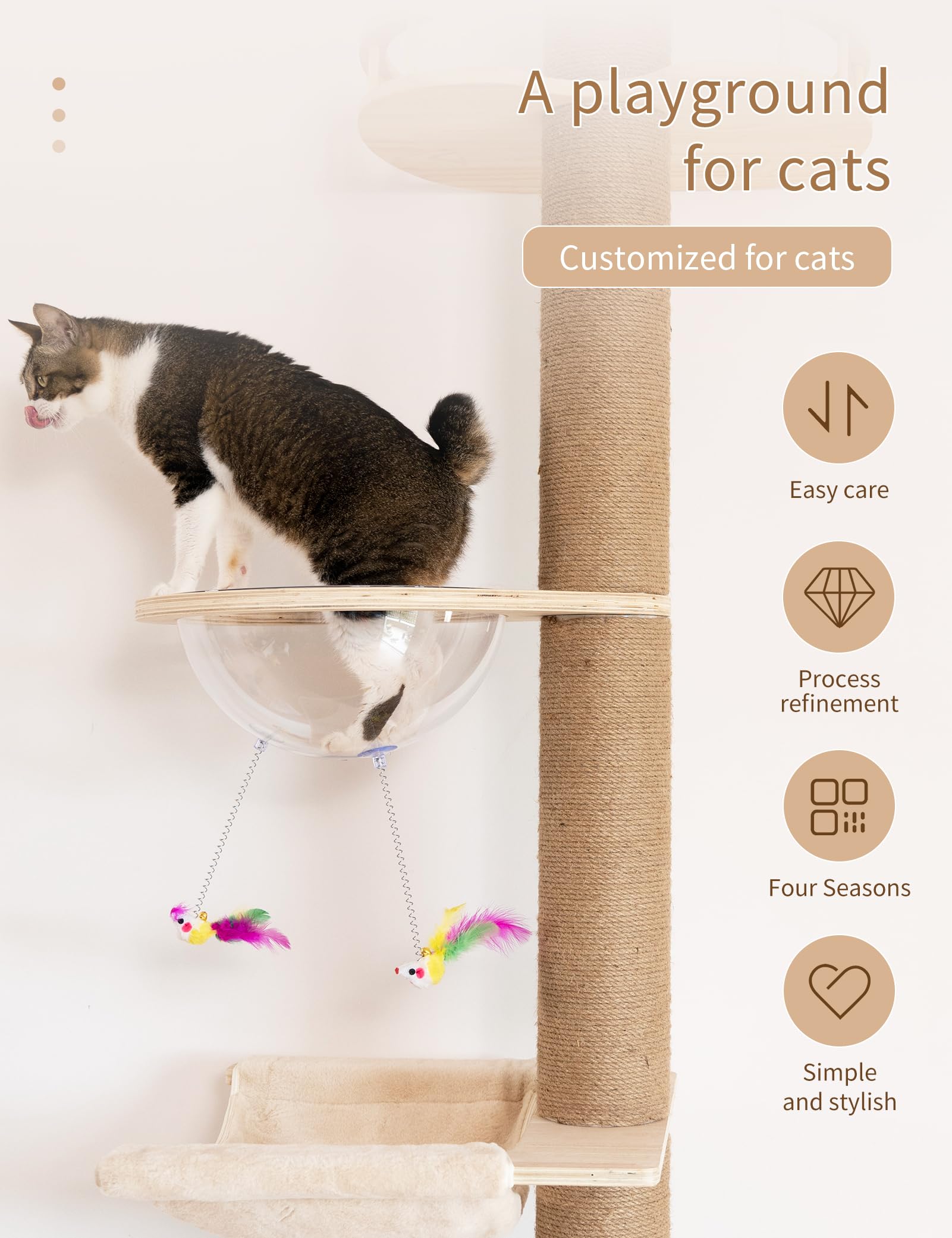 Gato usando la torre TQEW para trepar y descansar.