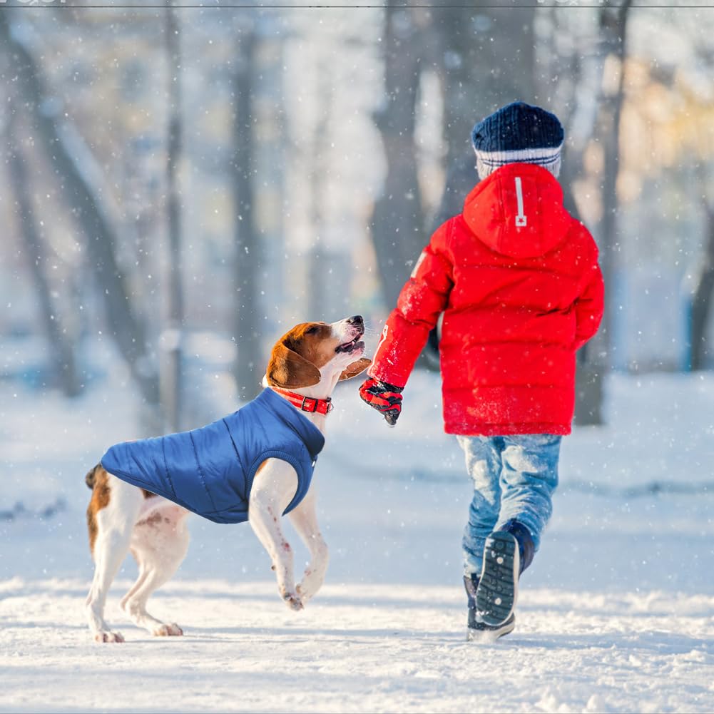 TQFlow abrigo para perro XL azul, bordes elásticos, ajuste cómodo sin restricciones