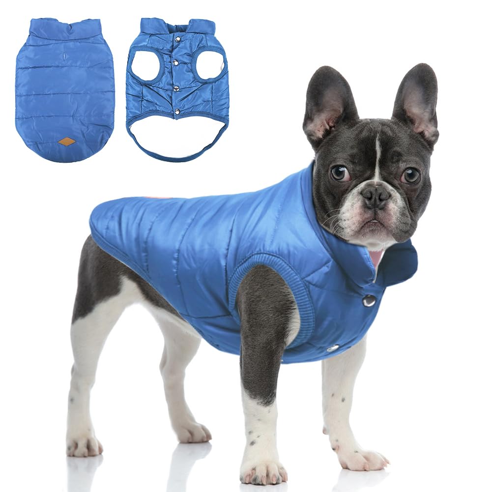 TQFlow abrigo para perro XL azul, vista frontal, mantiene a tu mascota caliente en paseos fríos