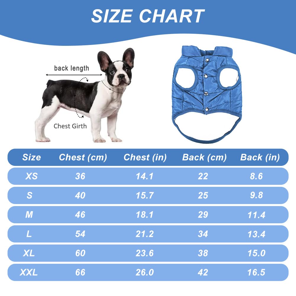 TQFlow abrigo para perro XL azul, hoyo para correa, seguro para paseos con correa
