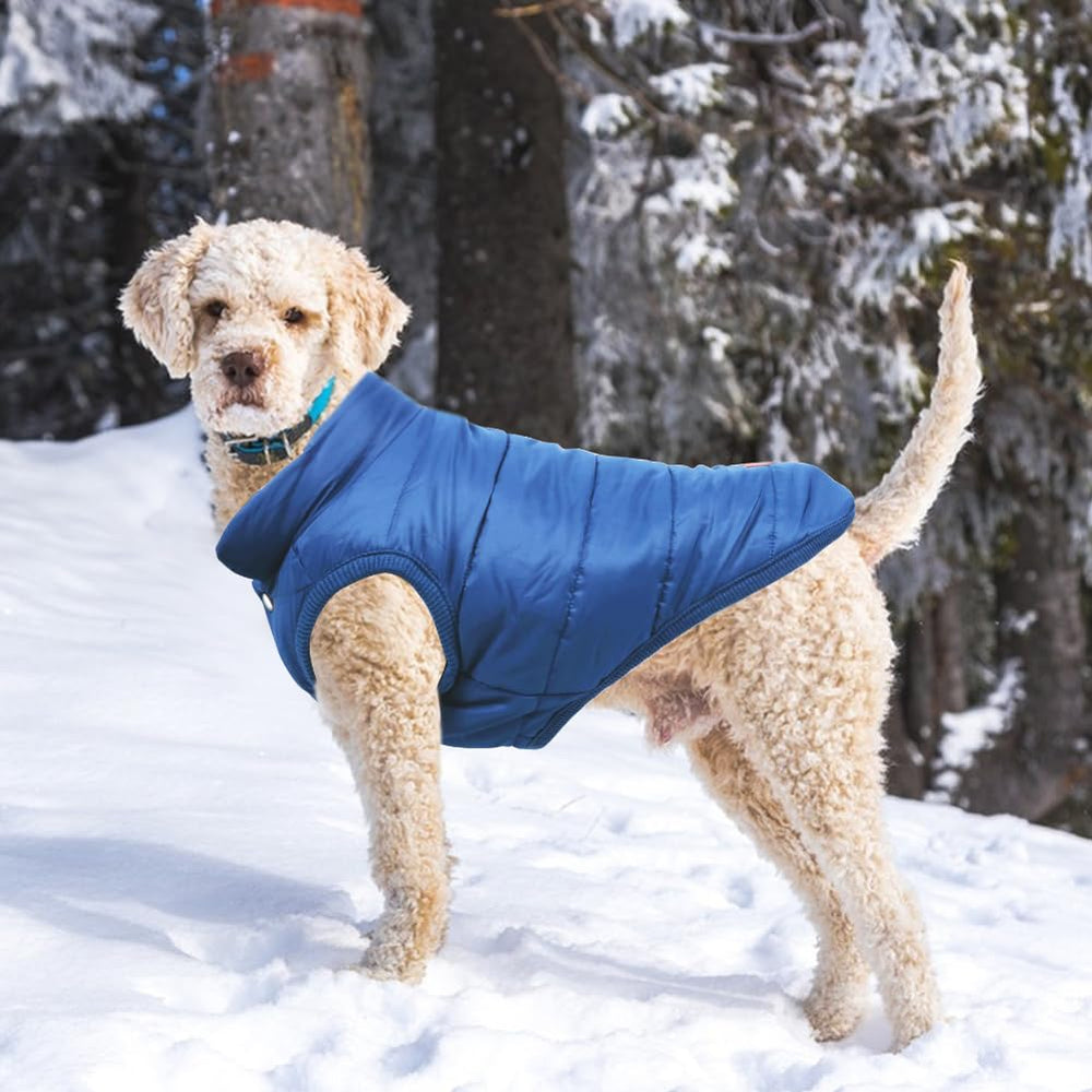 TQFlow abrigo para perro XL azul, uso exterior, ideal para caminatas en frío