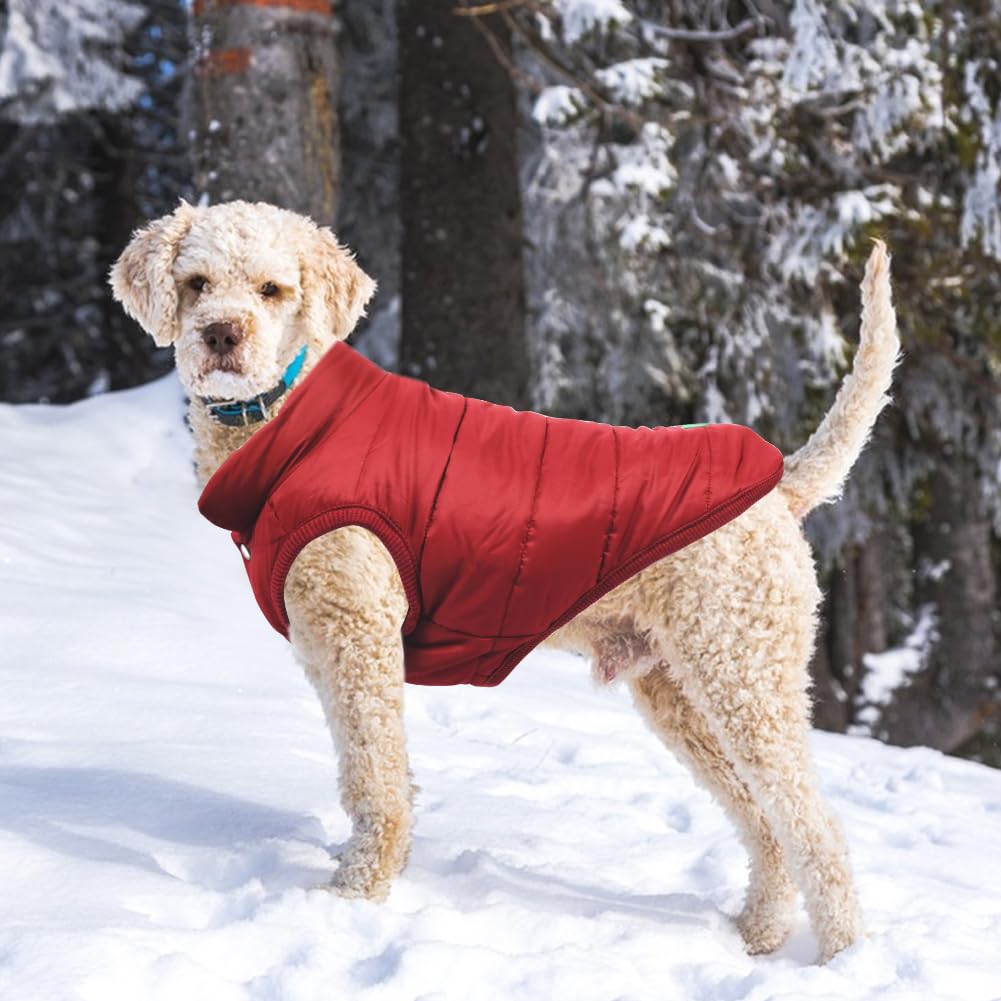 TQFlow chaleco para perro XL rojo, uso exterior para salidas al parque.