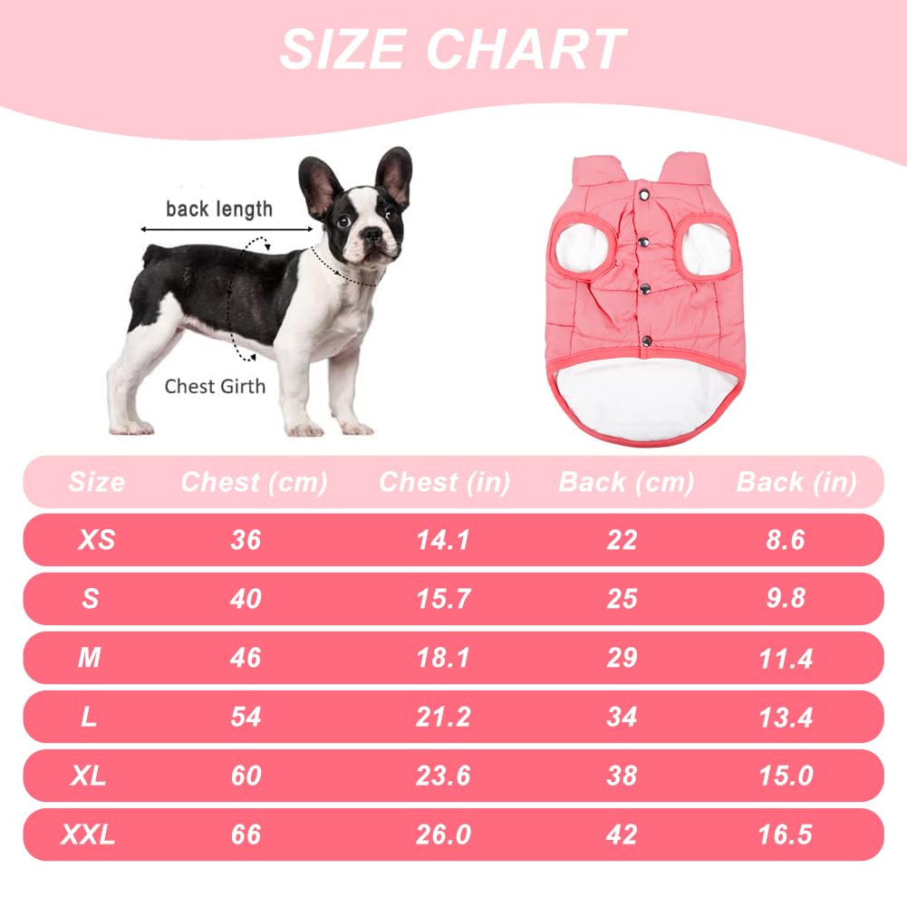 Chaleco TQFlow para perros XS, ajuste práctico.