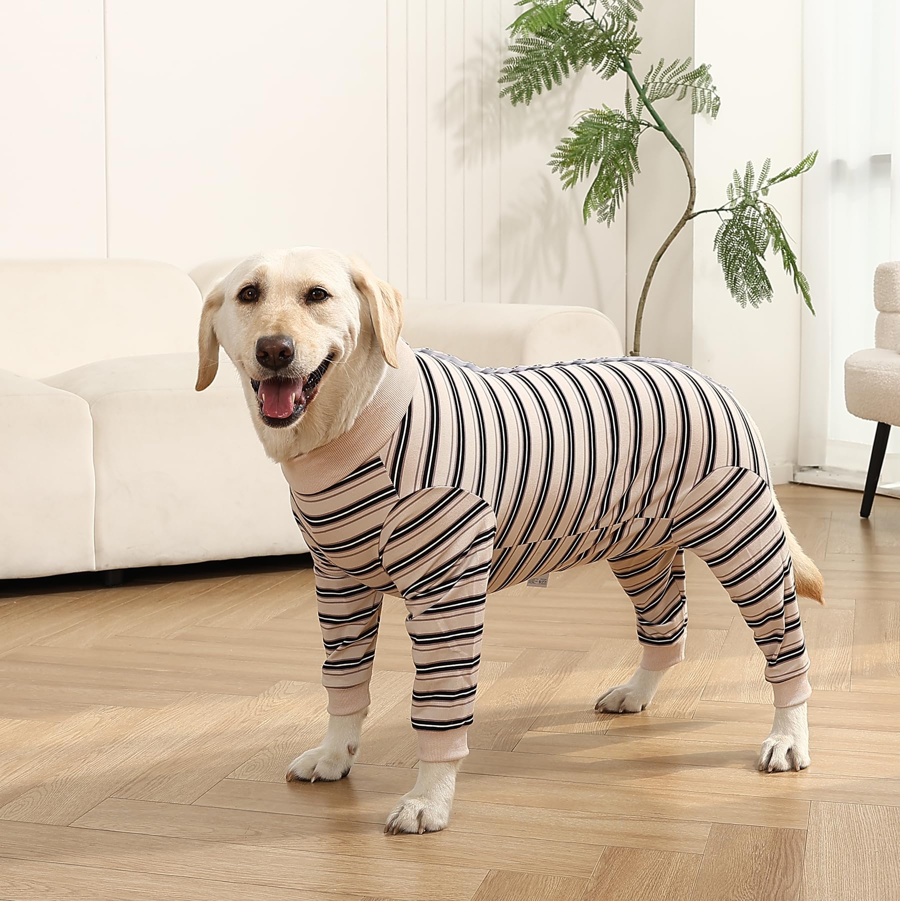 TQFlow Traje de recuperación para perros, permite movimiento cómodo durante la recuperación.