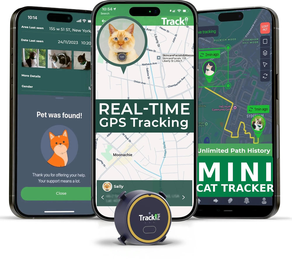 Tracki Cat con collar: rastreador para gatos y tranquilidad para el dueño.