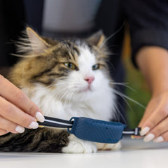 Tractive GPS CAT 4: fijación segura para collar, fácil de usar.