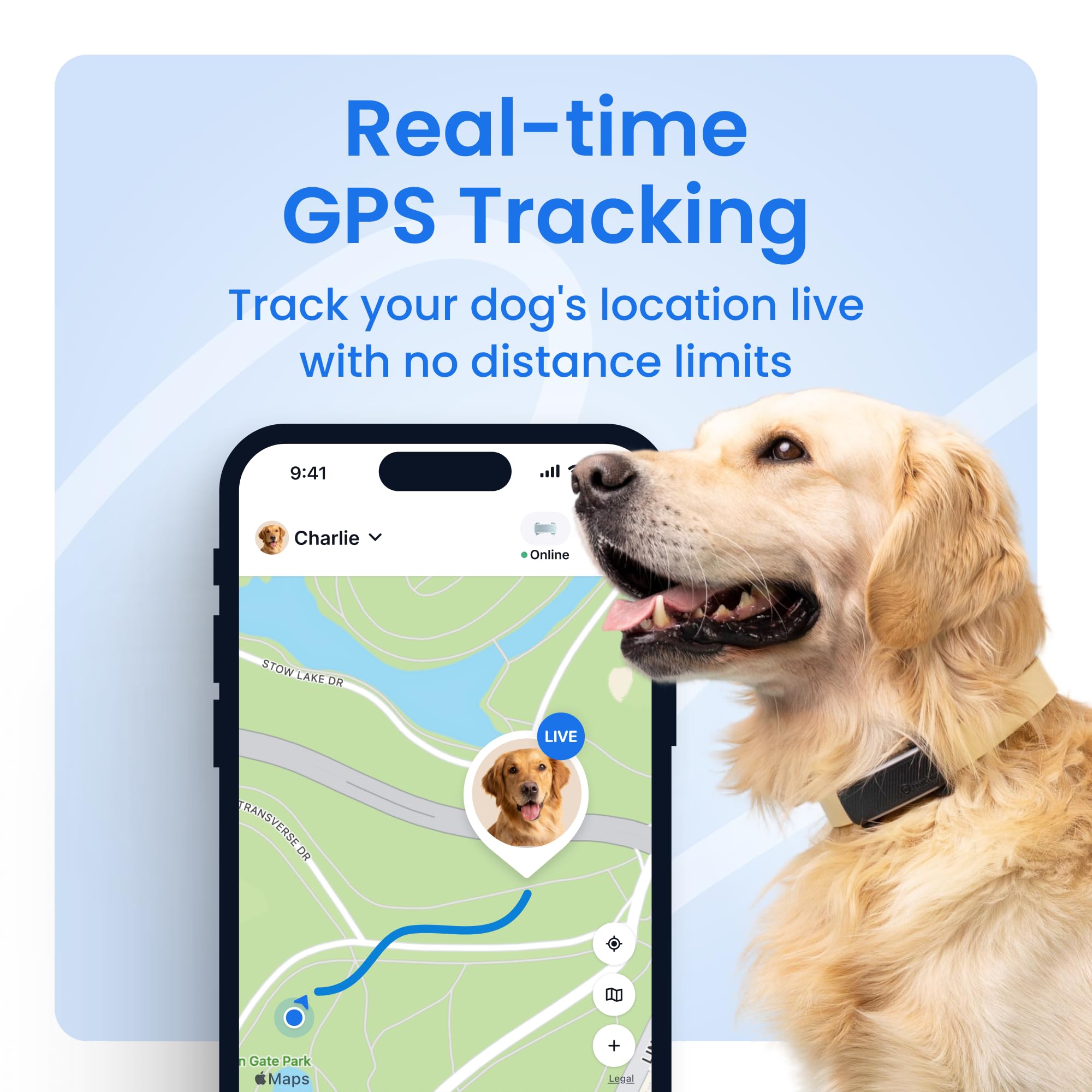 Tractive seguimiento en tiempo real para perros mostrando ruta y ubicación actual