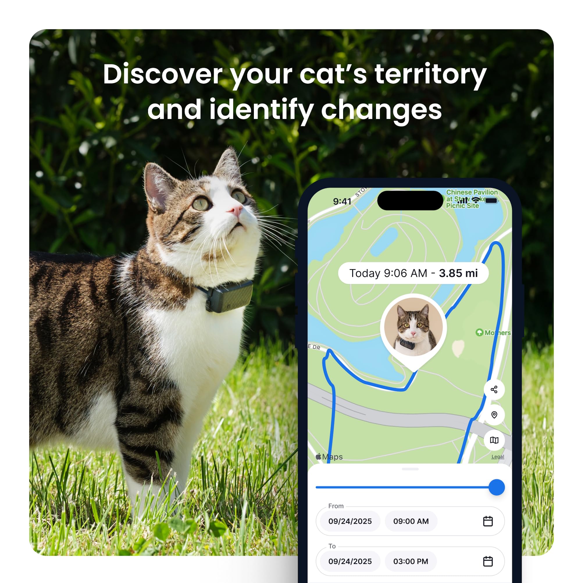 Tractive XL alertas de zonas seguras para evitar escapes.