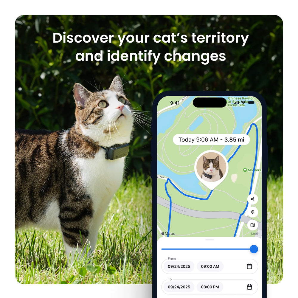 Tractive XL alertas de zonas seguras para evitar escapes.
