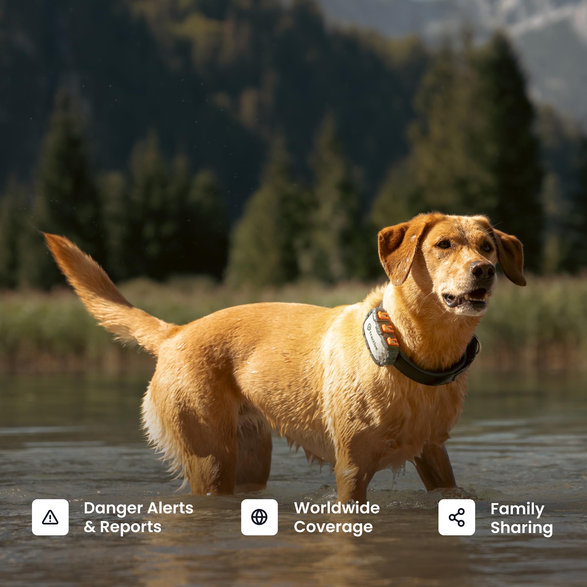Tractive XL duración de batería hasta un mes para perro.