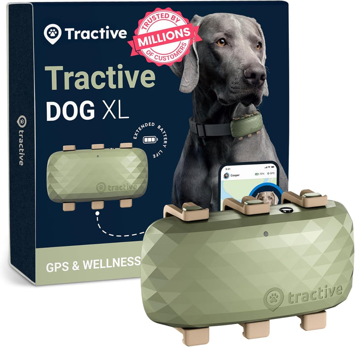 Tractive XL rastreador GPS en collar para localización en tiempo real.