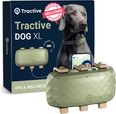 Tractive XL rastreador GPS en collar para localización en tiempo real.