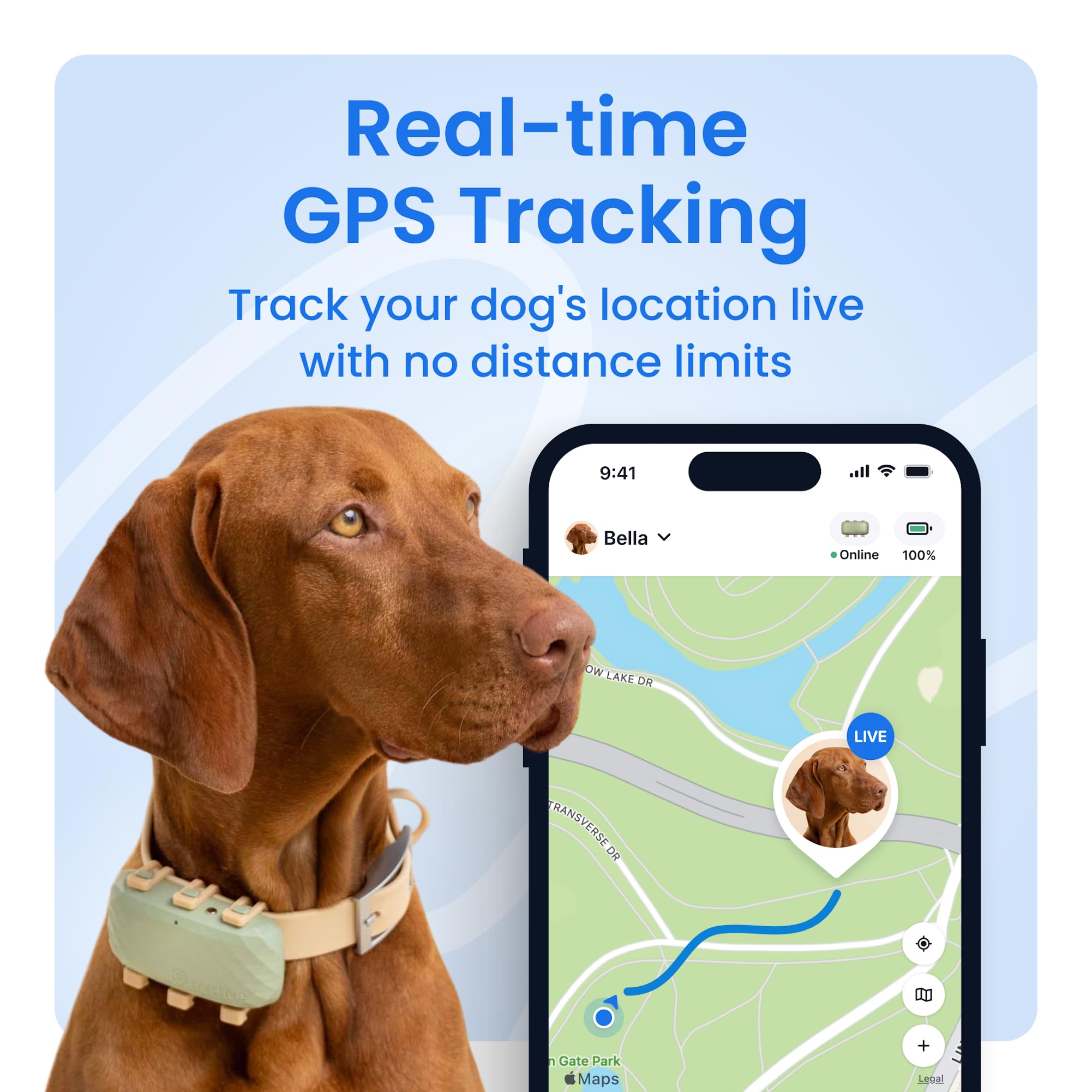 Tractive XL localización en vivo para saber dónde está tu perro.