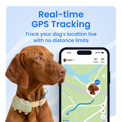 Tractive XL localización en vivo para saber dónde está tu perro.