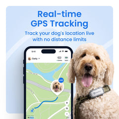 Tractive XL localización en vivo para perro, seguimiento constante.