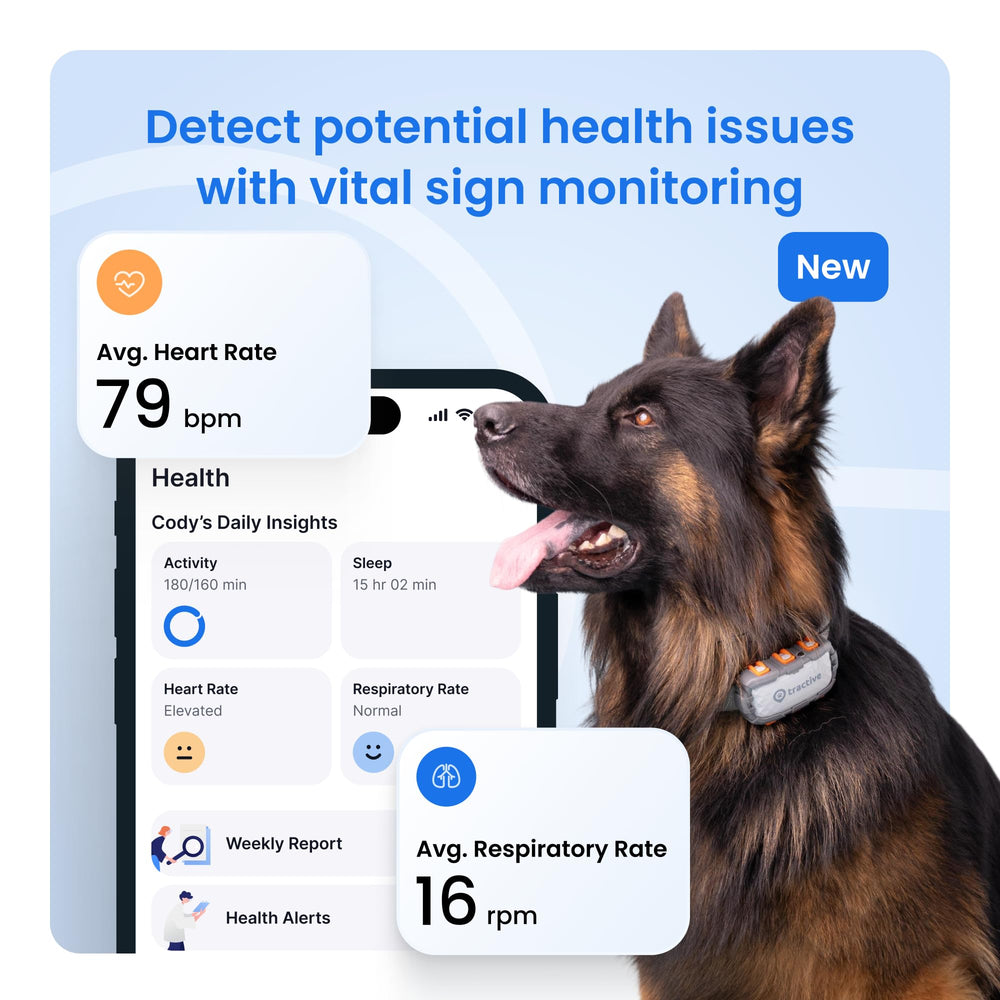Tractive XL monitor de salud para perro, signos vitales y actividad.