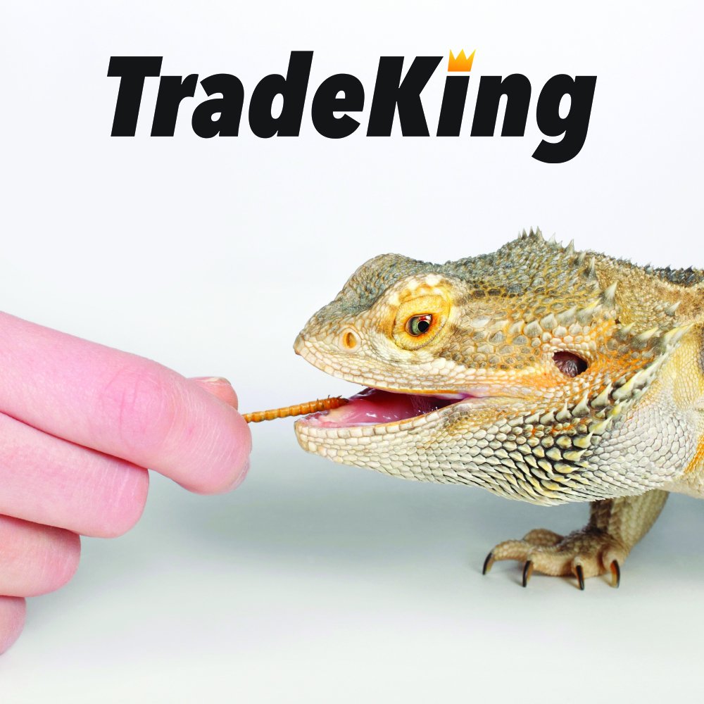 TradeKing gusanos secos para gallinas, snack proteico diario