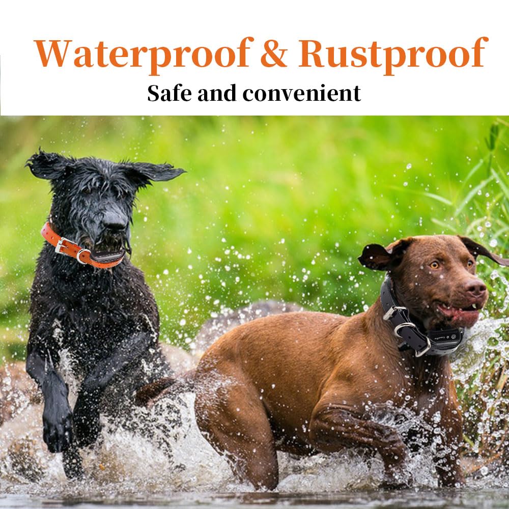 TrainPro correa resistente al agua, ideal para paseos y obediencia al aire libre.