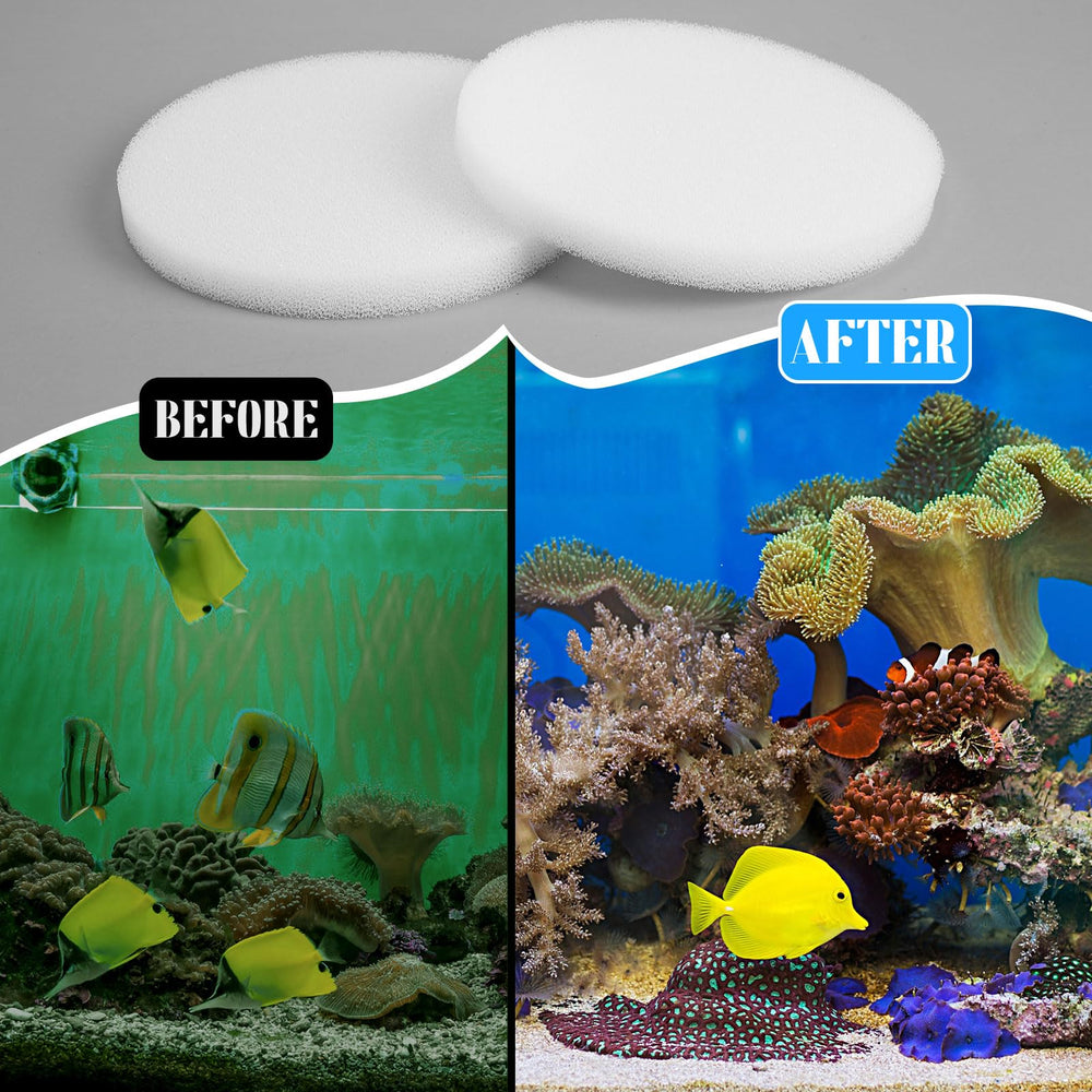Almohadilla de pulido Tranqun para Fluval Fx4, diseño fácil de instalar.