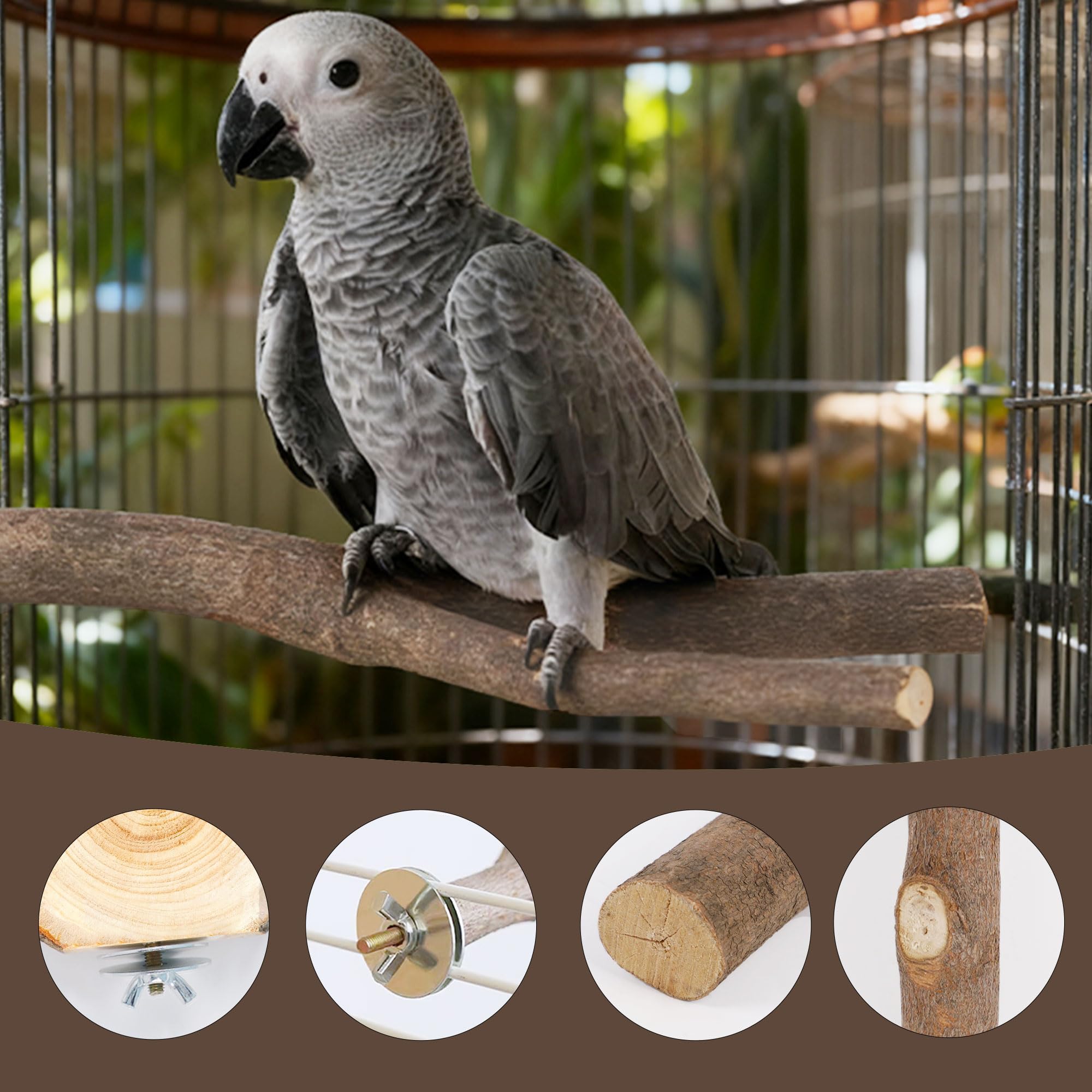 Treewoll percha bifurcada para loros medianos, agarre cómodo para trepar.