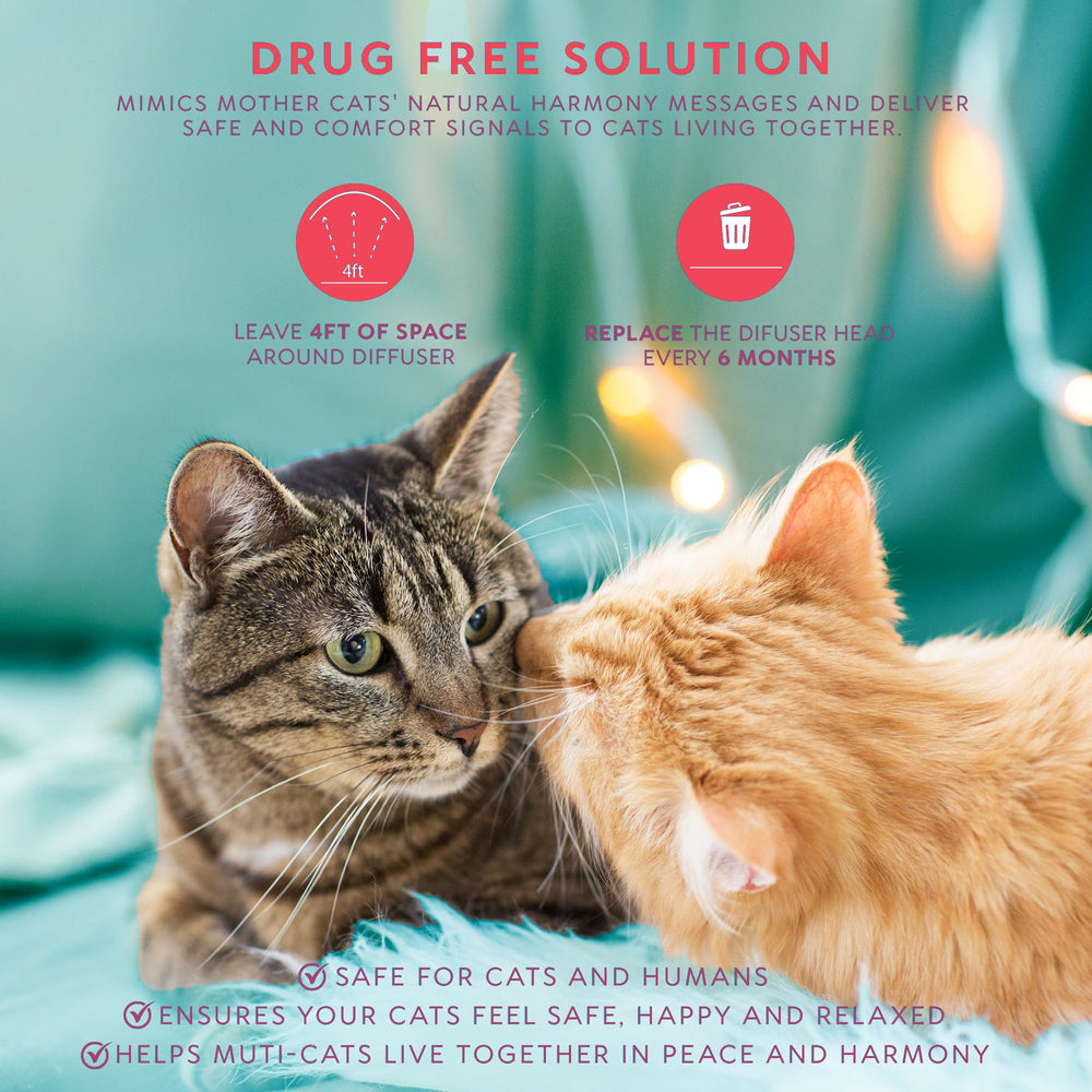 Uso en casa: difusor TriOak ofrece tranquilidad suave para gatos y convivencia