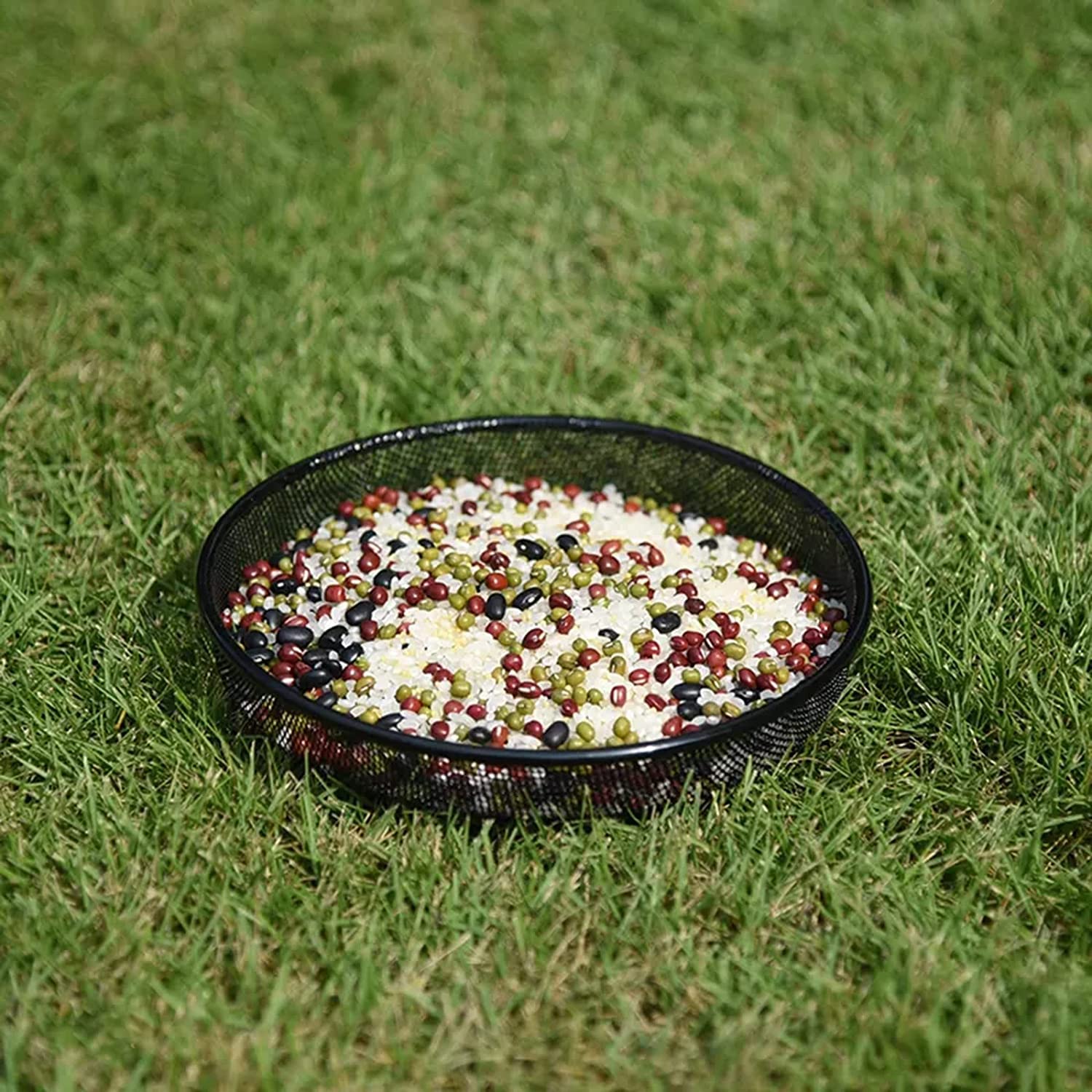 Trieez alimentador exterior colgante para jardín